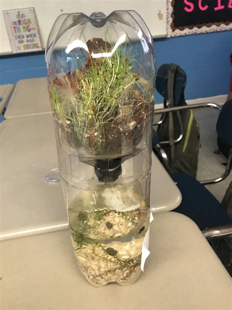 ecosystems in a bottle